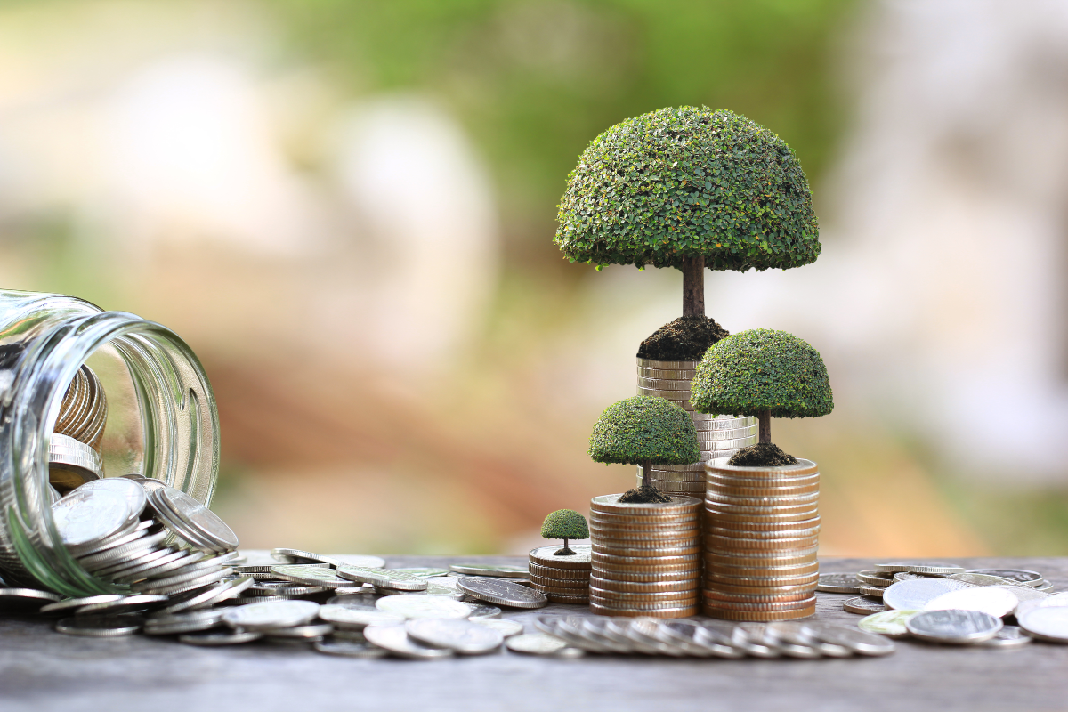 Private Equity Assurance Vie